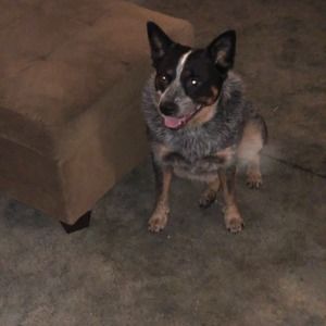 Meet your Posher, Brett